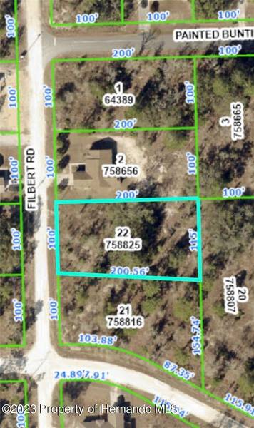 12314 Filbert Road, Weeki Wachee, FL 34614