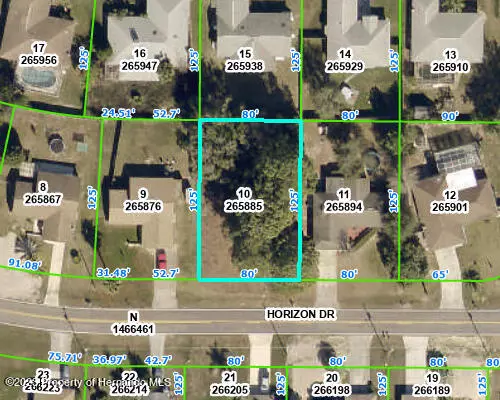 Horizon Drive, Spring Hill, FL 34608