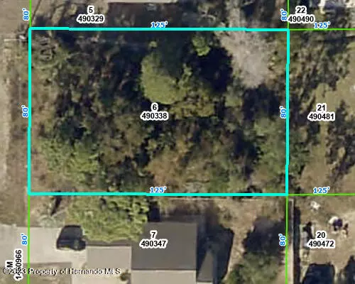 Holston Avenue, Spring Hill, FL 34608