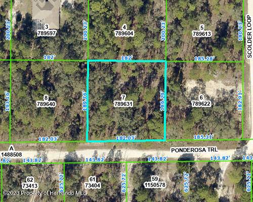 PONDEROSA Trail, Weeki Wachee, FL 34614