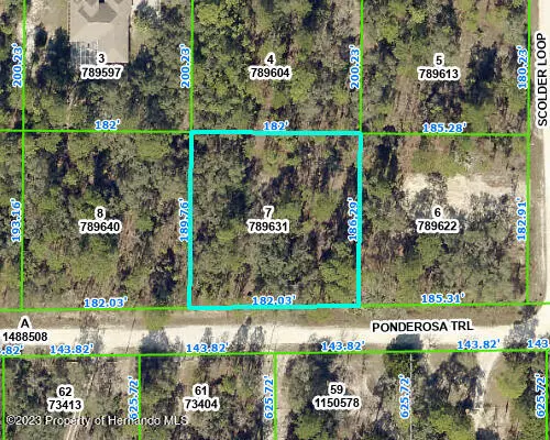 Weeki Wachee, FL 34614,PONDEROSA Trail