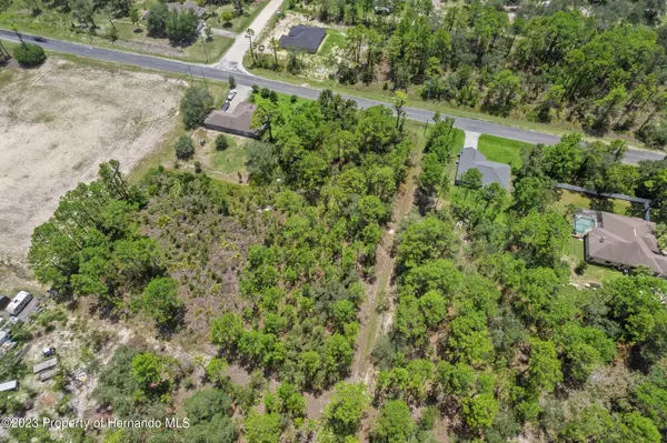 Weeki Wachee, FL 34614,Thrasher Avenue