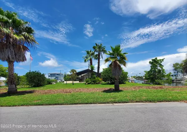 Hernando Beach, FL 34607,1 3rd Isle Drive