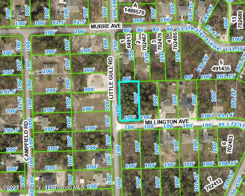 Weeki Wachee, FL 34614,0 MILLINGTON Avenue