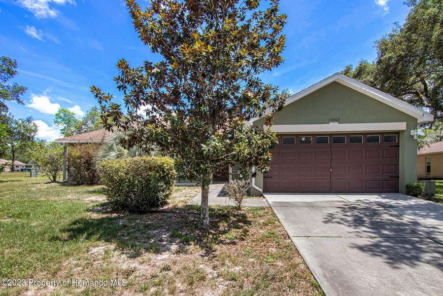 11909 Osprey Ave, Weeki Wachee, FL 34614