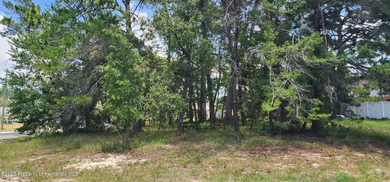 12187 Ronald Street, Spring Hill, FL 34609