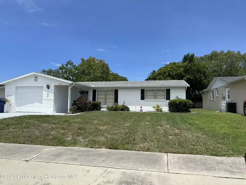 6339 Tralee Avenue, New Port Richey, FL 34653