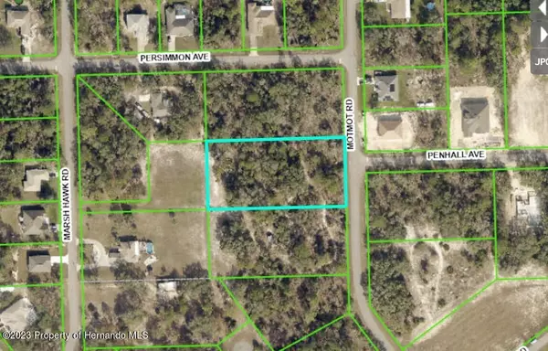 Motmot Road, Weeki Wachee, FL 34614