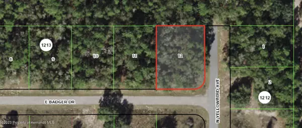 Citrus Springs, FL 34434,1849 E Badger Drive