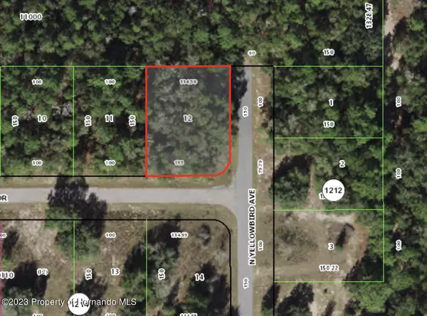 Citrus Springs, FL 34434,1849 E Badger Drive