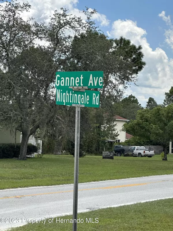 Weeki Wachee, FL 34613,10 Gannet Avenue