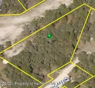 Weeki Wachee, FL 34614,Milgate Court