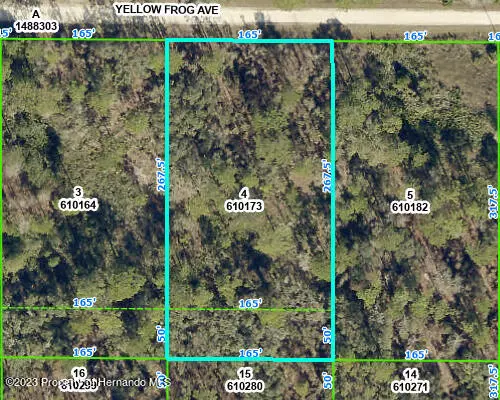 10154 Yellow Frog, Weeki Wachee, FL 34614