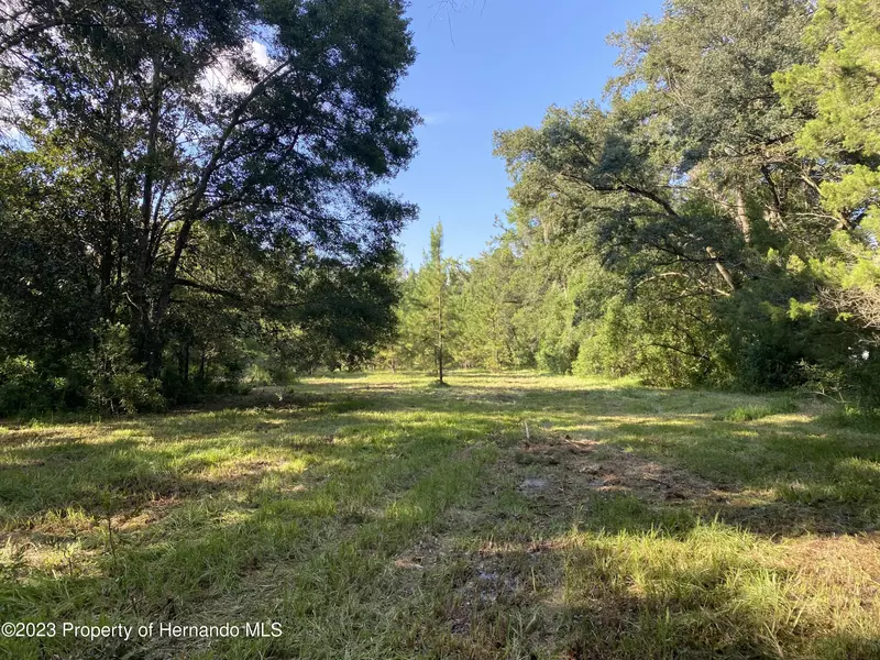 Powell Road, Brooksville, FL 34601