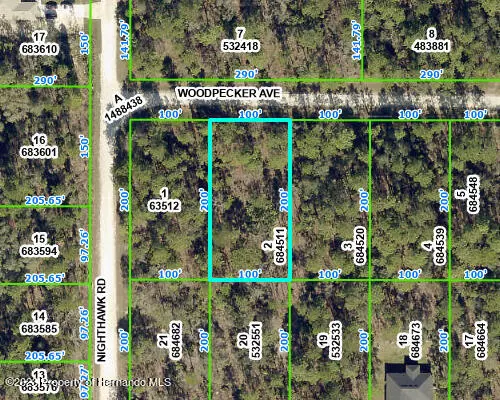 234 WOODPECKER Avenue, Weeki Wachee, FL 34614