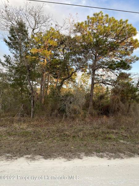 Everglades Kite Road, Weeki Wachee, FL 34614