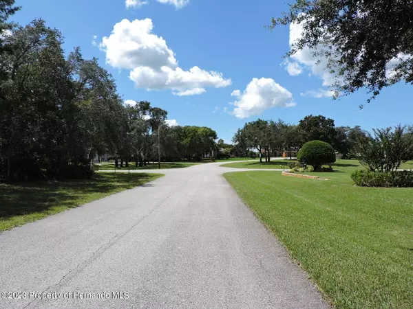 Weeki Wachee, FL 34613,Ramble Ridge Court