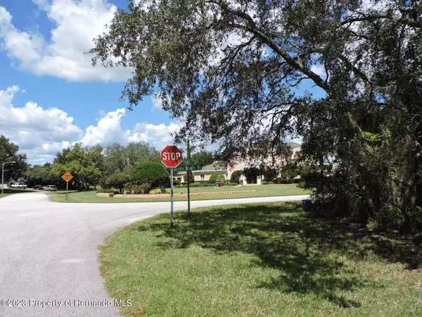 Weeki Wachee, FL 34613,Ramble Ridge Court