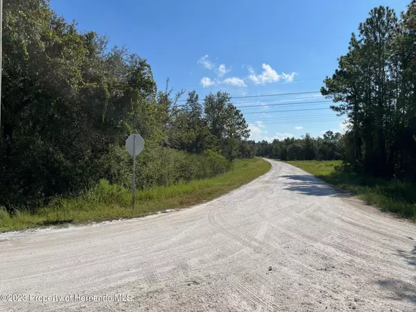 Weeki Wachee, FL 34614,13500 Downy Woodpecker Road