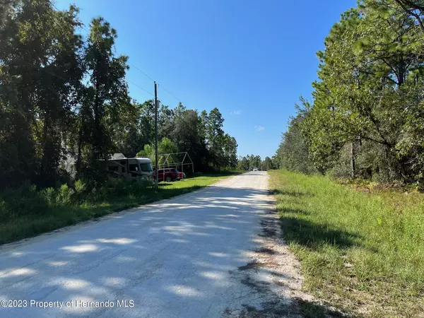 Weeki Wachee, FL 34614,13500 Downy Woodpecker Road