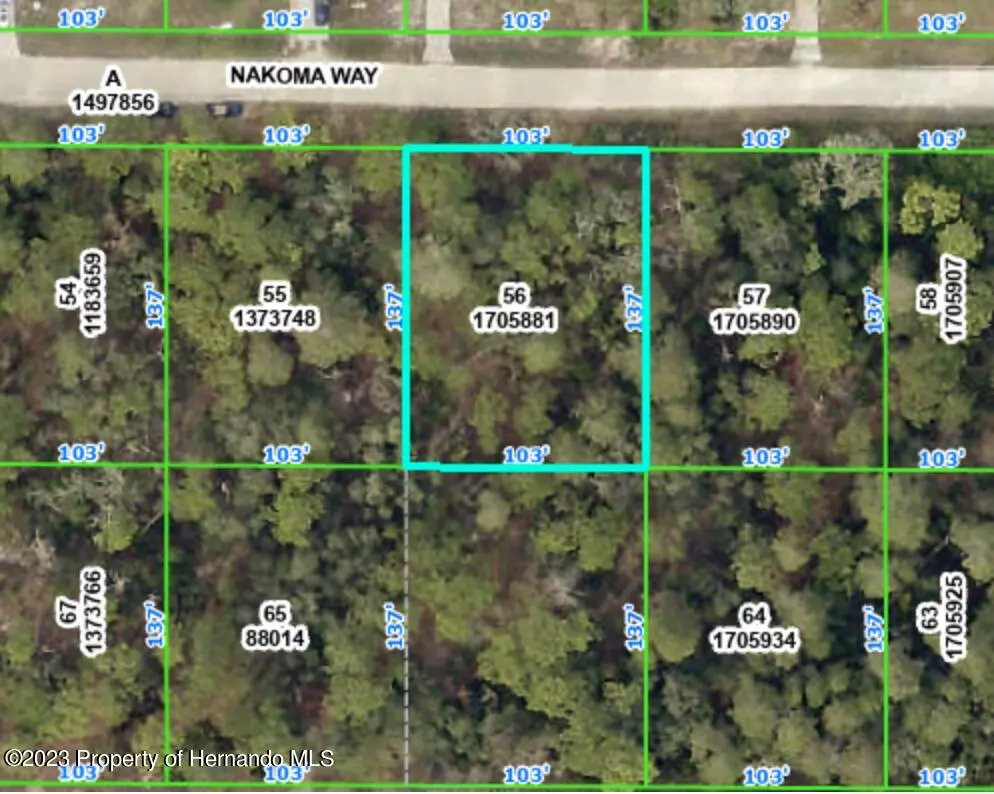 Weeki Wachee, FL 34613,0 Nakoma Way