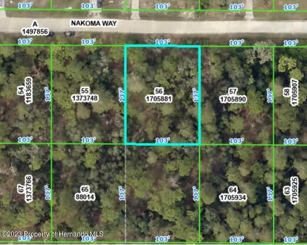 0 Nakoma Way, Weeki Wachee, FL 34613