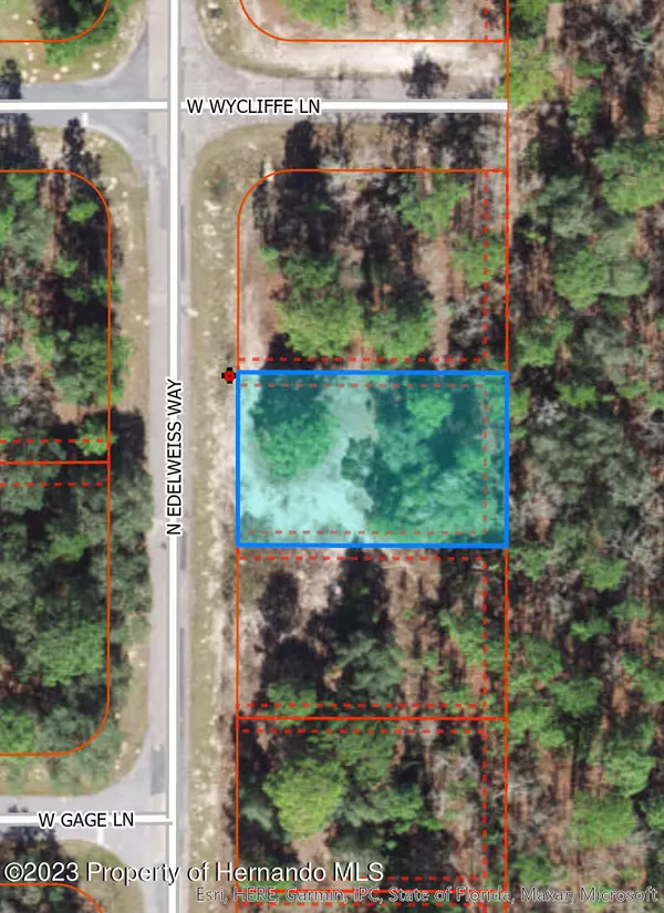 Citrus Springs, FL 34434,6567 N Edelweiss Way