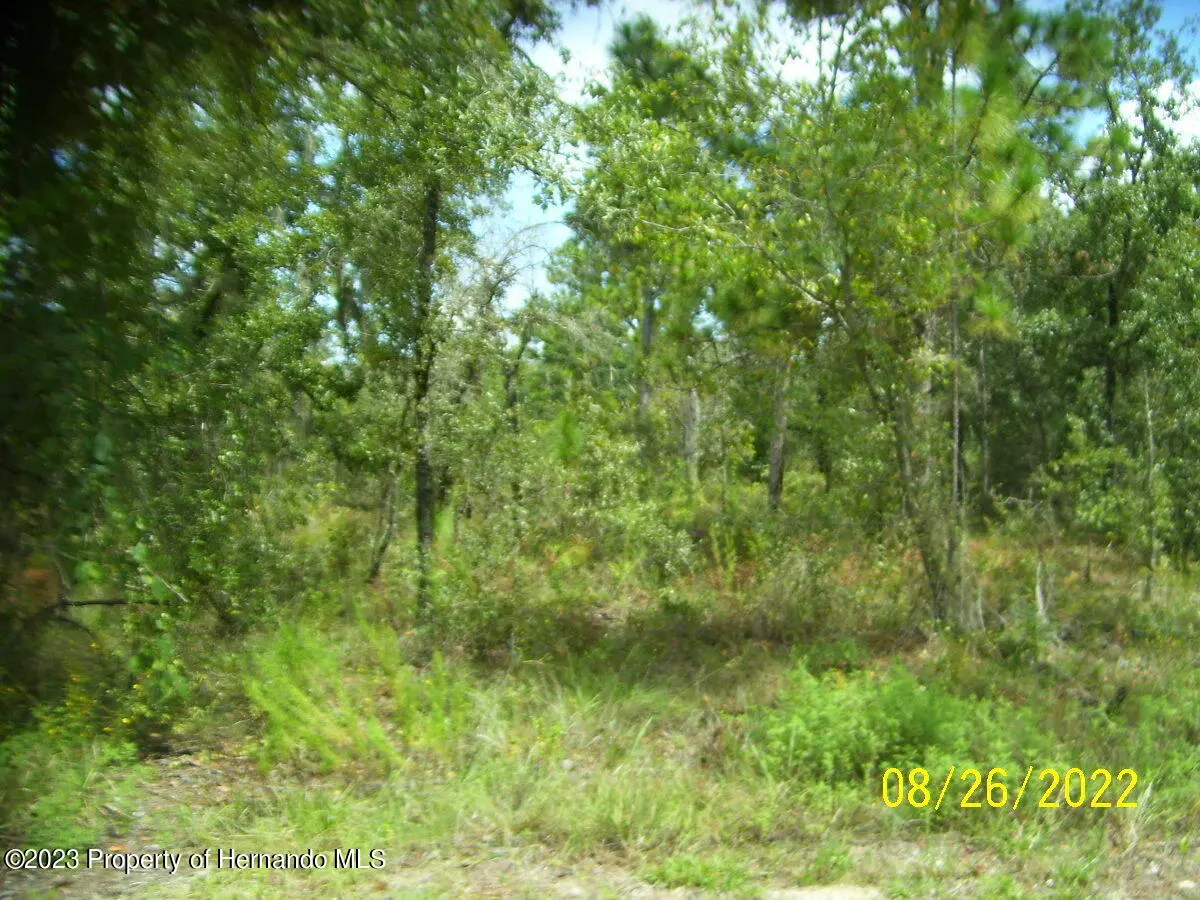 Brooksville, FL 34614,0 schick Avenue