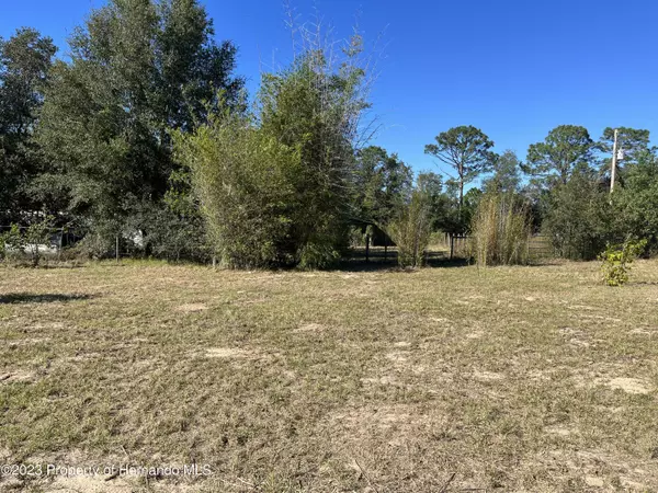 Brooksville, FL 34613,13297 Moon Road