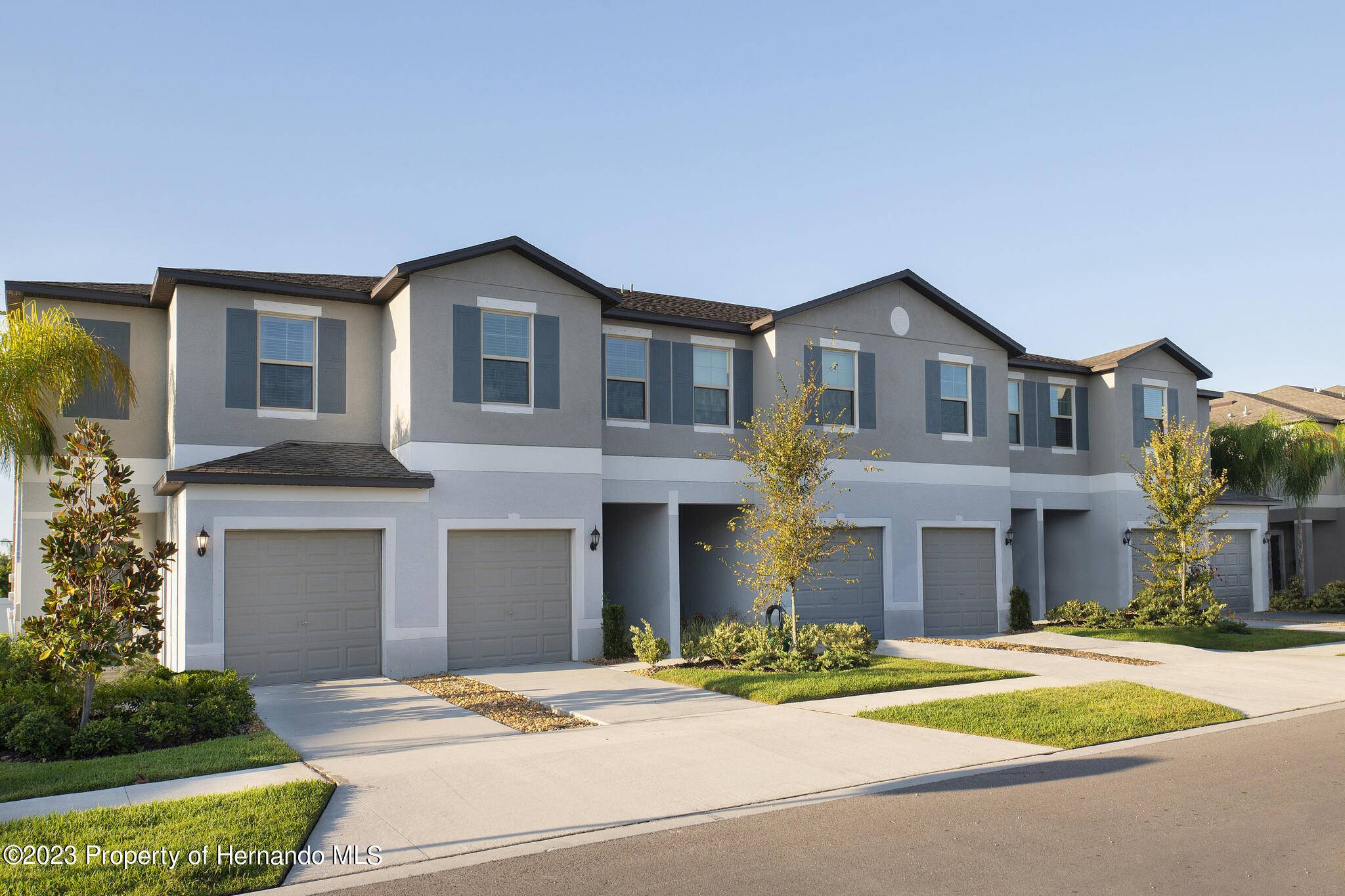17657 NECTAR FLUME Drive, Land O' Lakes, FL 34638