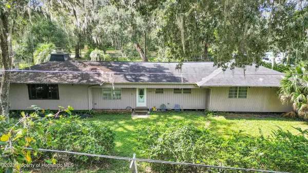 3230 CR 421, Lake Panasoffkee, FL 33538