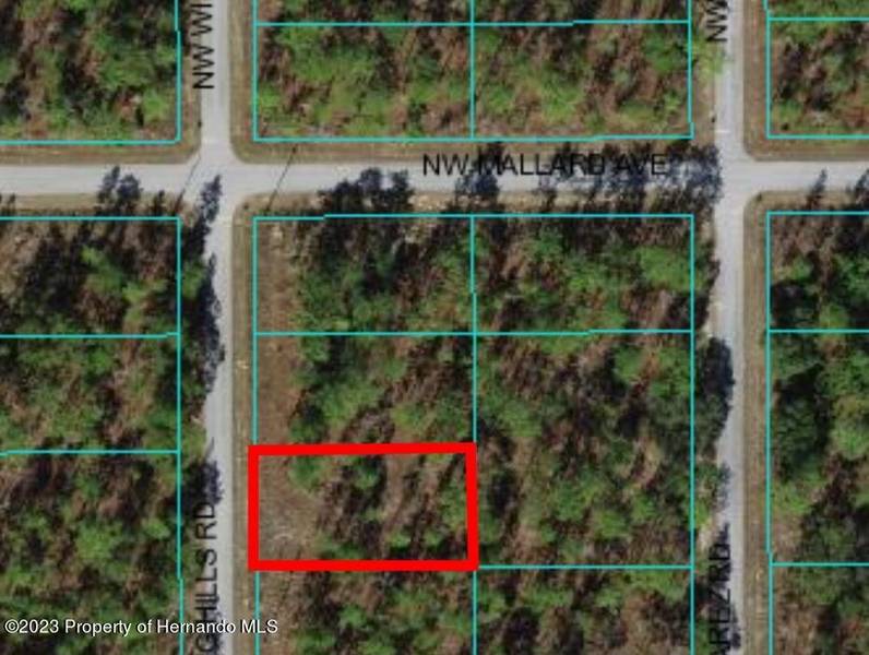 SW Winding Hills Road, Dunnellon, FL 34431