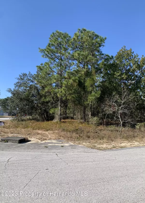 Norvell Road, Spring Hill, FL 34608