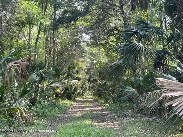 Homosassa, FL 34448,10676 S Halo Point