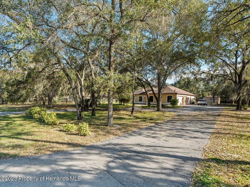 15226 Camrose Avenue, Spring Hill(pasco), FL 34610