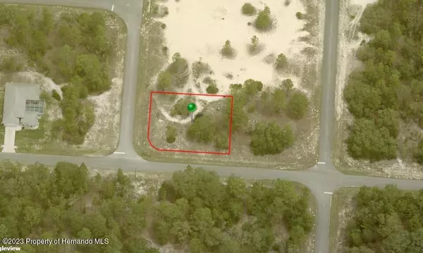 Citrus Springs, FL 34433,6575 N GRAYTON Terrace