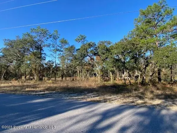 Brooksville, FL 34614,15485 Mt Sparrow Road