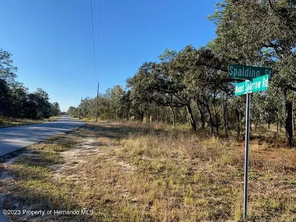 Brooksville, FL 34614,15485 Mt Sparrow Road