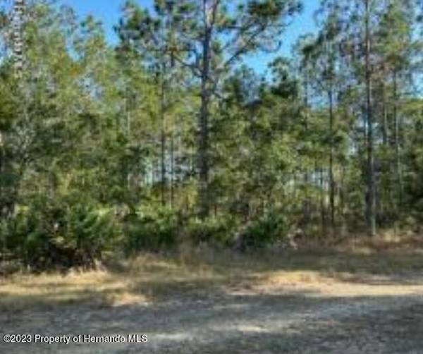 Quinton Lot 2 Road, Weeki Wachee, FL 34614