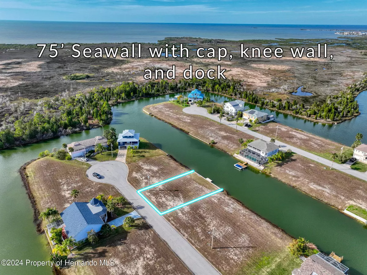 Hernando Beach, FL 34607,3367 Jewfish Drive