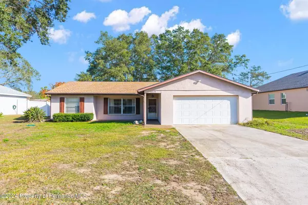 11379 Portola Lane, Spring Hill, FL 34609