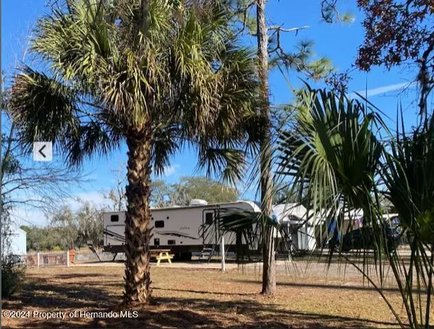 Weeki Wachee, FL 34613,9265 Grizzly Bear Lane