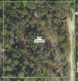 Sunshine Grove Road, Brooksville, FL 34614