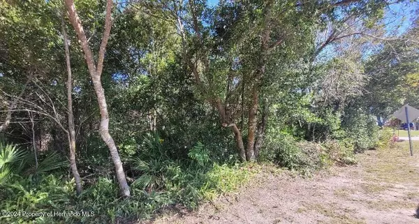 Spring Hill, FL 34606,Beachview Drive