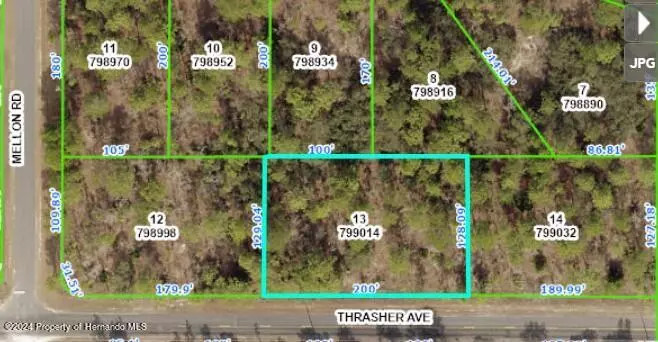 Weeki Wachee, FL 34614,11329 THRASHER Avenue