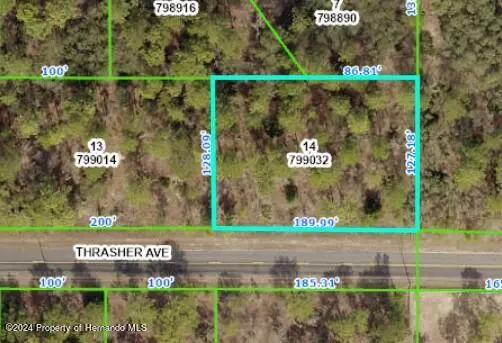 Weeki Wachee, FL 34614,11345 THRASHER Avenue