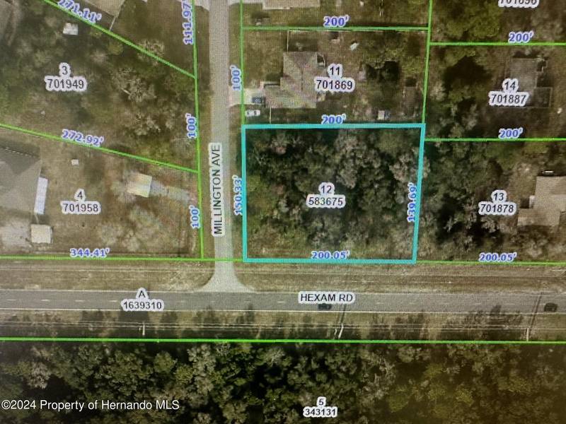 Millington Avenue, Brooksville, FL 34614