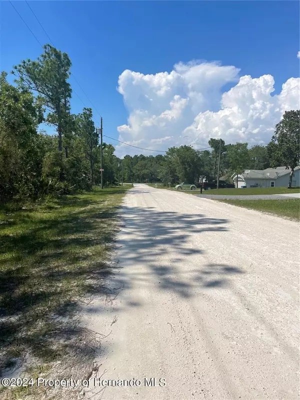 Weeki Wachee, FL 34614,16179 MEADOW PLOVER Road