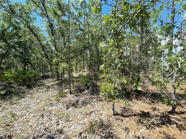 16179 MEADOW PLOVER Road, Weeki Wachee, FL 34614