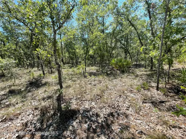 Weeki Wachee, FL 34614,16179 MEADOW PLOVER Road